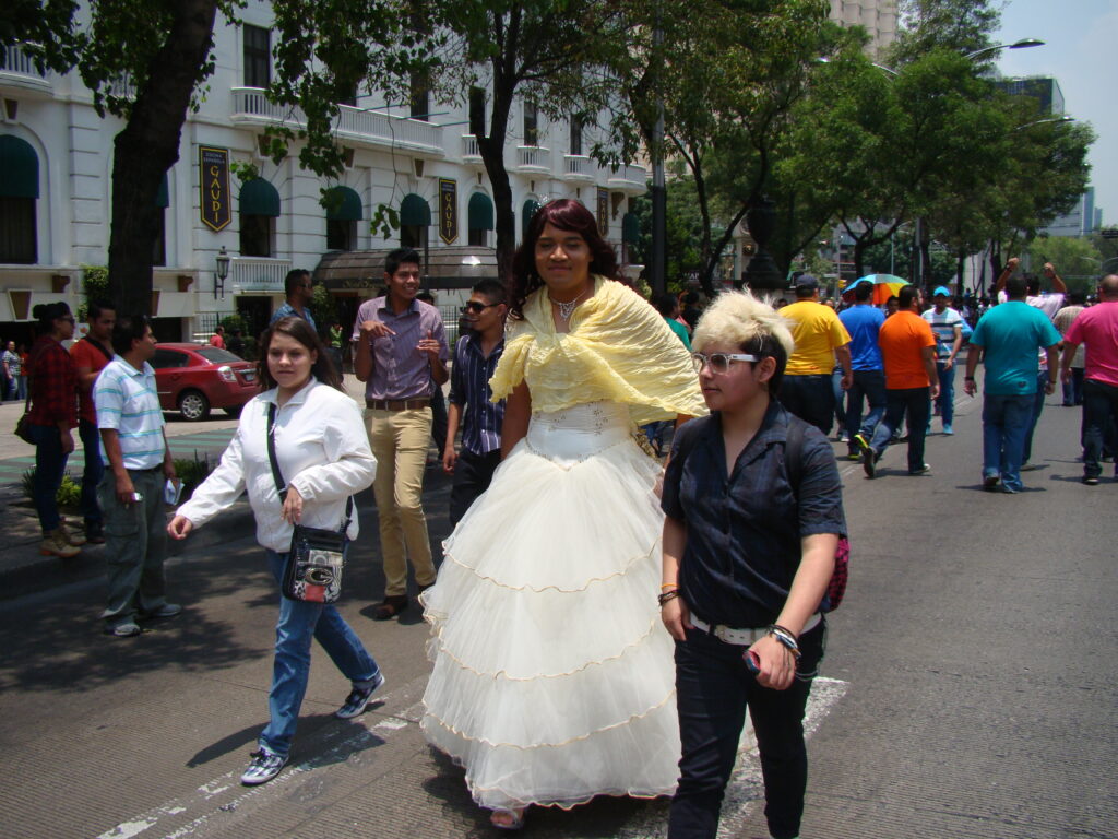 DSC03044 1024x768